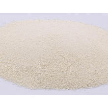 Feed Fade 10000u / G Phytase Revêtue / Phytase Thermostable Naturelle